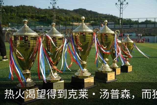 热火渴望得到克莱·汤普森，而独行侠似乎正在阻碍热火引援计划